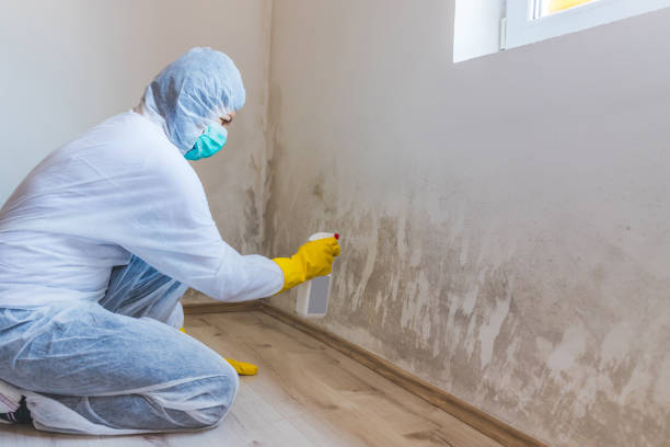 Licensed Commercial Mold Remediation service in Hanover, PA - WQB Mold Removal