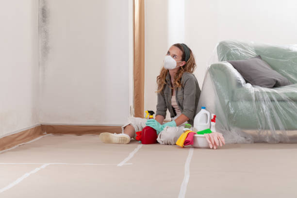 Reliable Commercial Mold Remediation contractor in Hanover, PA by WQB Mold Removal