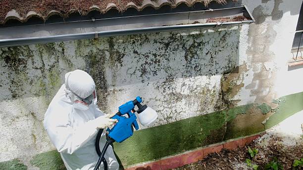 Top rated local Commercial Mold Remediation specialists in Hanover, PA